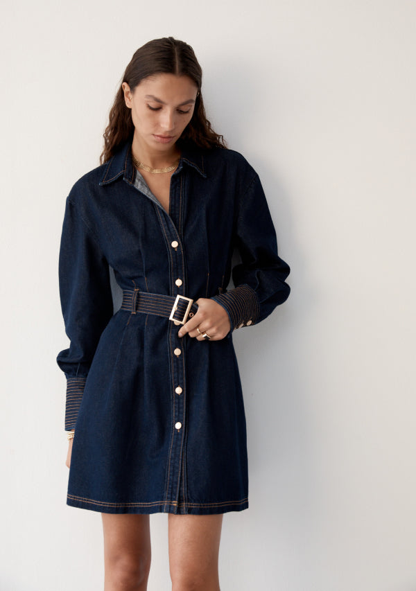 Sia Denim Mini Dress