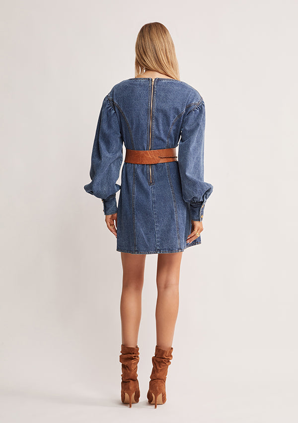 Waterlily Denim Mini Dress