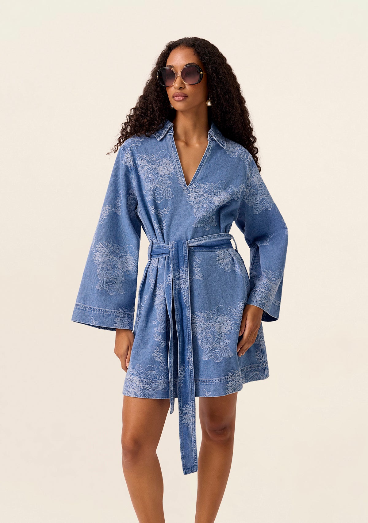 Elodie Denim Mini Dress