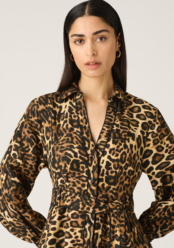 Anastacia Shirt Dress