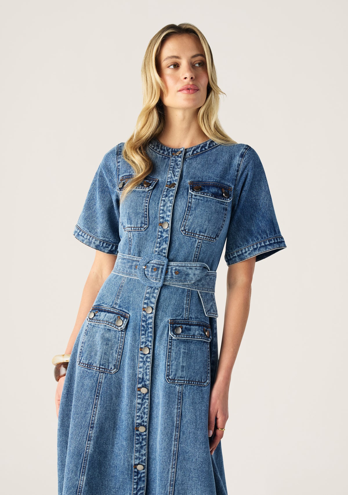 Aveline Denim Dress
