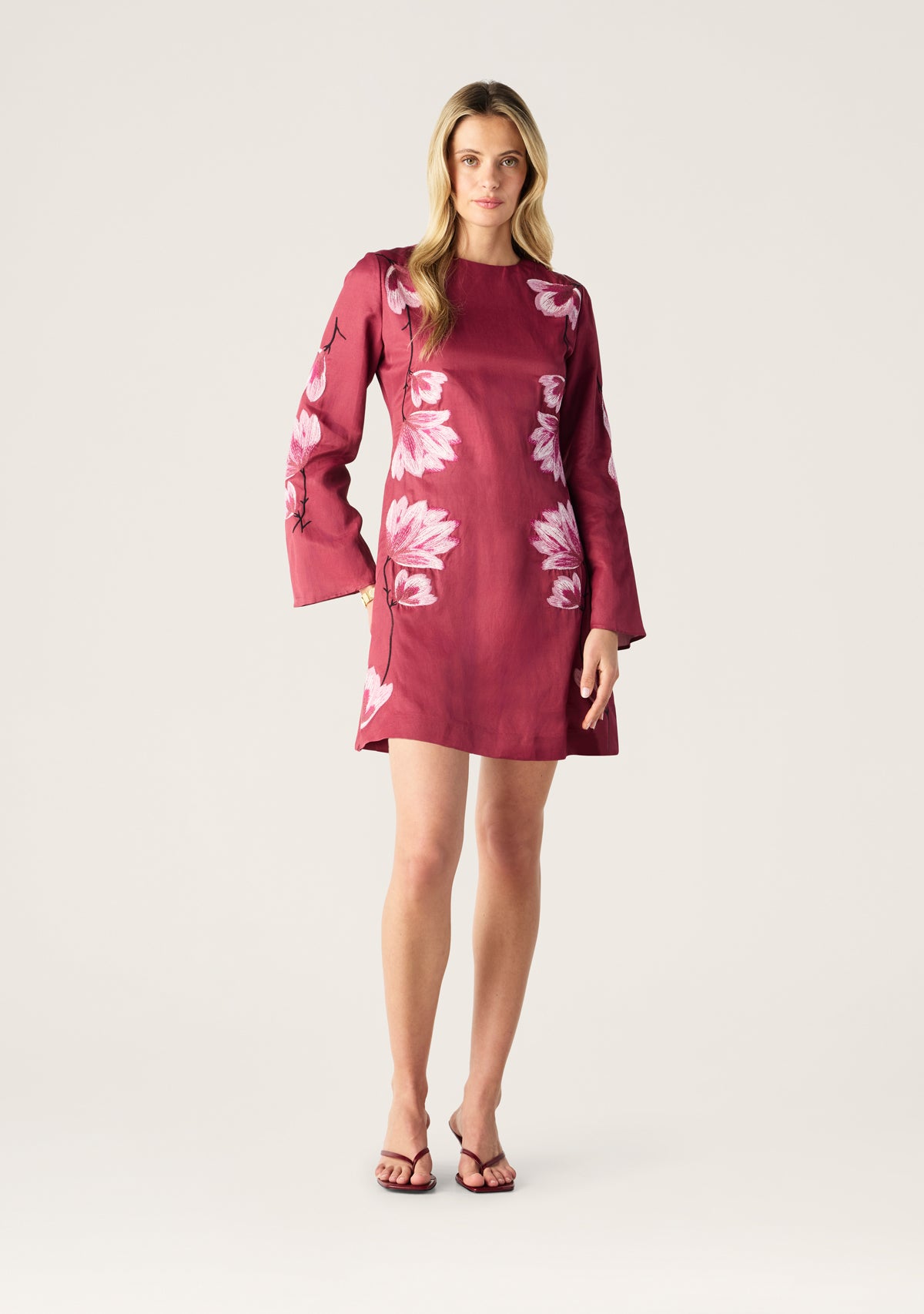 Lilou Embroidery Mini Dress