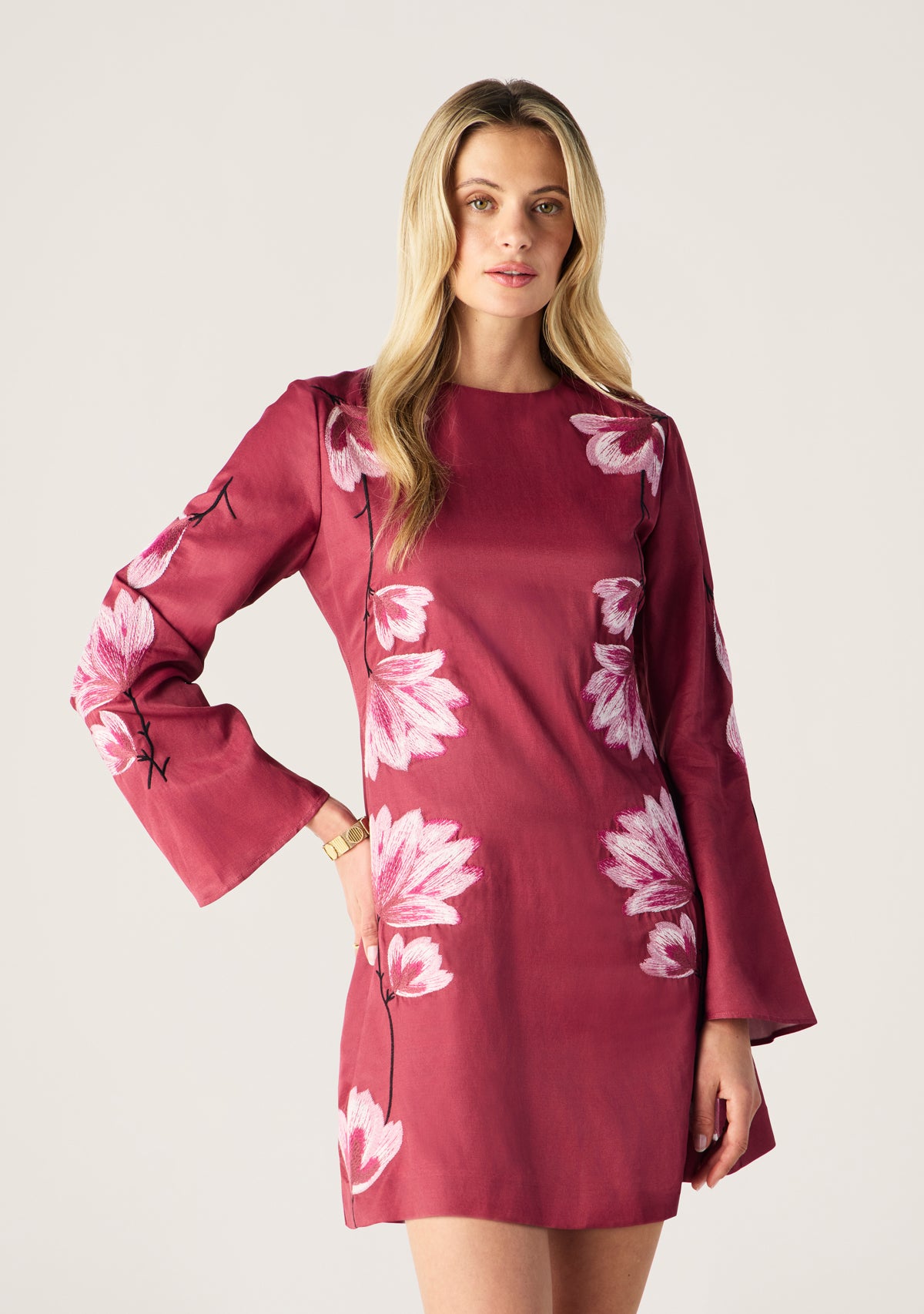 Lilou Embroidery Mini Dress