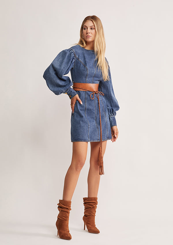 Waterlily Denim Mini Dress