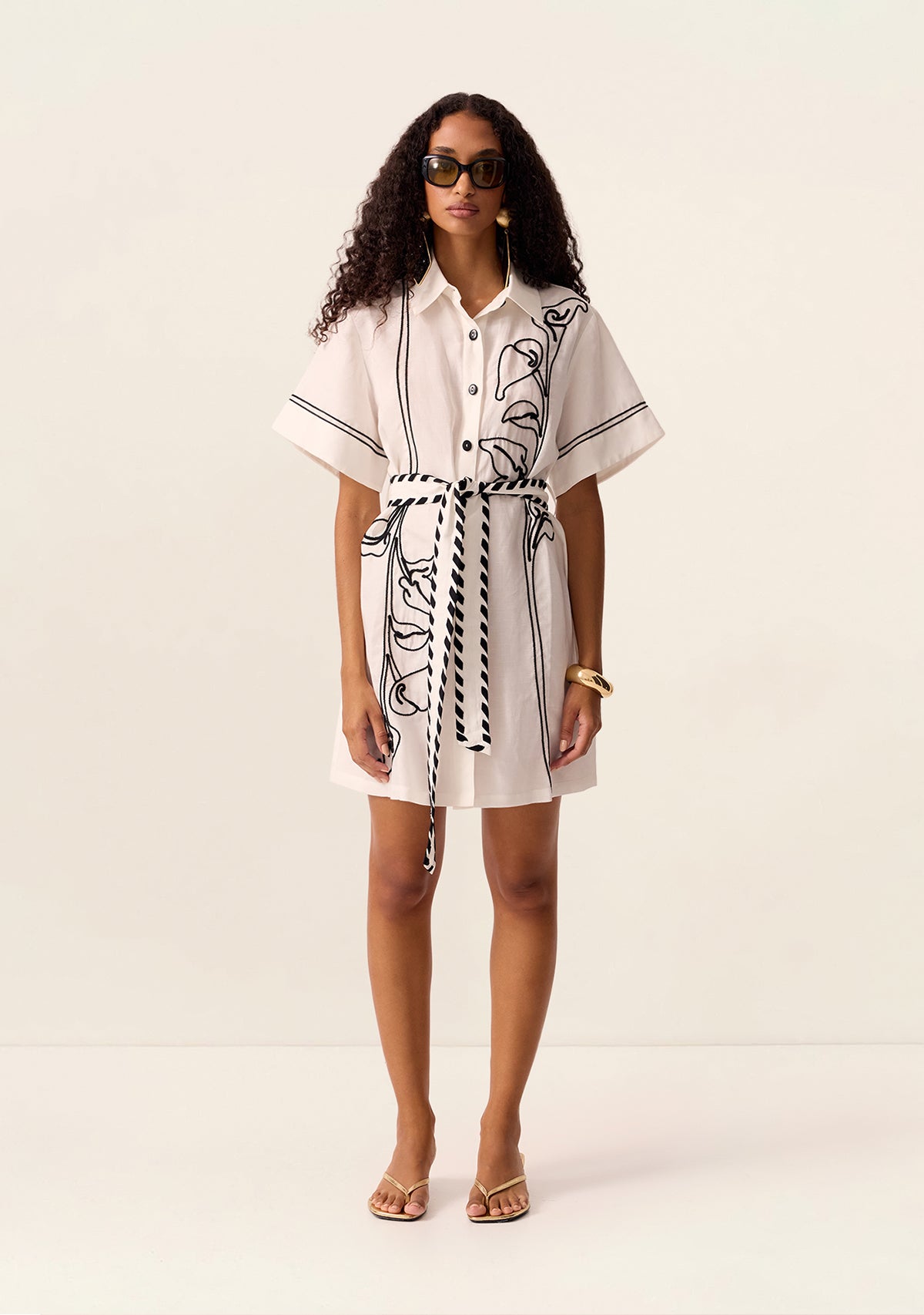 Lily Embroidery Mini Dress